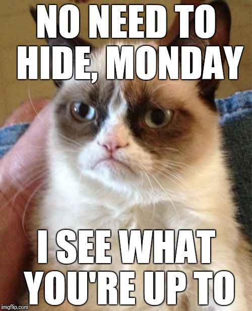 Grumpy Cat Meme | NO NEED TO HIDE, MONDAY; I SEE WHAT YOU'RE UP TO | image tagged in memes,grumpy cat | made w/ Imgflip meme maker