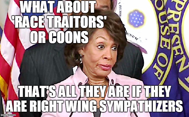 maxine answers questions | WHAT ABOUT 'RACE TRAITORS' OR COONS THAT'S ALL THEY ARE IF THEY ARE RIGHT WING SYMPATHIZERS | image tagged in maxine answers questions | made w/ Imgflip meme maker