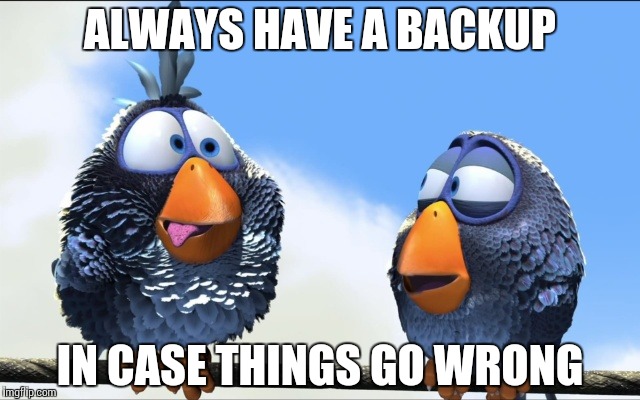 Blue Birds | ALWAYS HAVE A BACKUP IN CASE THINGS GO WRONG | image tagged in blue birds | made w/ Imgflip meme maker