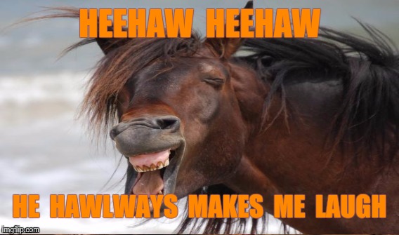 Laughing horse | HEEHAW  HEEHAW HE  HAWLWAYS  MAKES  ME  LAUGH | image tagged in laughing horse | made w/ Imgflip meme maker