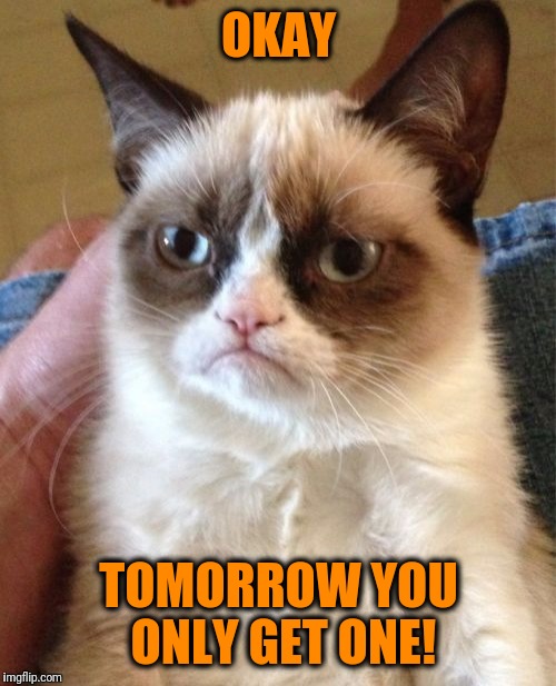 Grumpy Cat Meme | OKAY TOMORROW YOU ONLY GET ONE! | image tagged in memes,grumpy cat | made w/ Imgflip meme maker