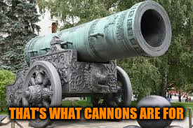 THAT'S WHAT CANNONS ARE FOR | made w/ Imgflip meme maker