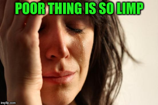 First World Problems Meme | POOR THING IS SO LIMP | image tagged in memes,first world problems | made w/ Imgflip meme maker