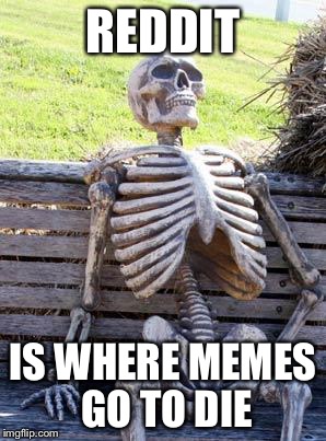 Waiting Skeleton Meme | REDDIT IS WHERE MEMES GO TO DIE | image tagged in memes,waiting skeleton | made w/ Imgflip meme maker