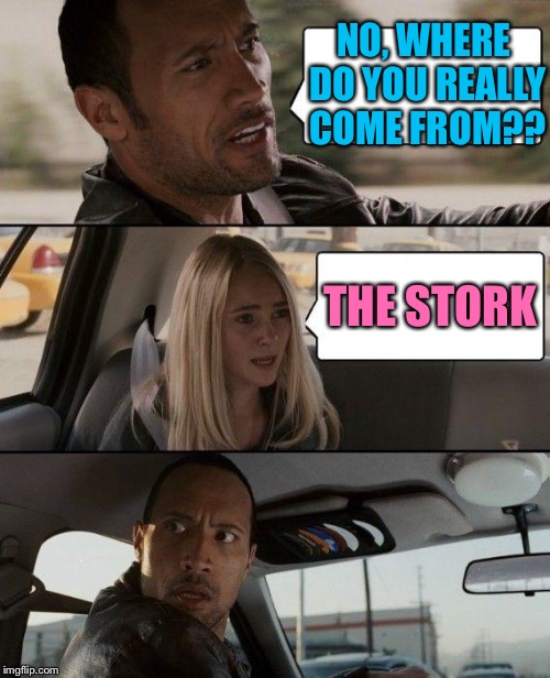 The Rock Driving Meme | NO, WHERE DO YOU REALLY COME FROM?? THE STORK | image tagged in memes,the rock driving | made w/ Imgflip meme maker