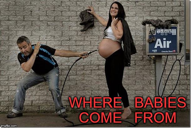 reproduction explained | WHERE   BABIES   COME   FROM | image tagged in funny | made w/ Imgflip meme maker