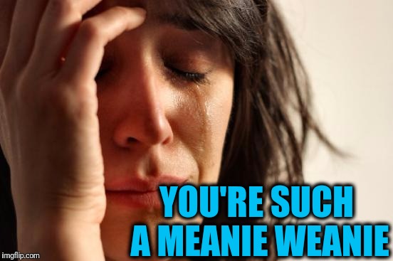 First World Problems Meme | YOU'RE SUCH A MEANIE WEANIE | image tagged in memes,first world problems | made w/ Imgflip meme maker