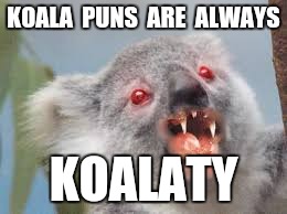 Drop bears are real | KOALA  PUNS  ARE  ALWAYS KOALATY | image tagged in drop bears are real | made w/ Imgflip meme maker