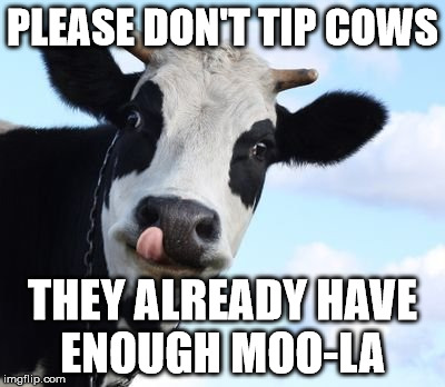 PLEASE DON'T TIP COWS; THEY ALREADY HAVE ENOUGH MOO-LA | image tagged in cowtipping | made w/ Imgflip meme maker