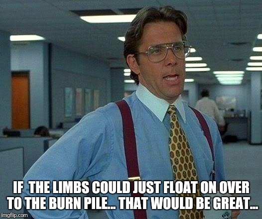 That Would Be Great | IF  THE LIMBS COULD JUST FLOAT ON OVER TO THE BURN PILE... THAT WOULD BE GREAT... | image tagged in memes,that would be great | made w/ Imgflip meme maker
