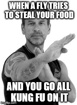 When a fly tries to steal your food | WHEN A FLY TRIES TO STEAL YOUR FOOD; AND YOU GO ALL KUNG FU ON IT | image tagged in fly,food,kung fu,don't touch my food | made w/ Imgflip meme maker
