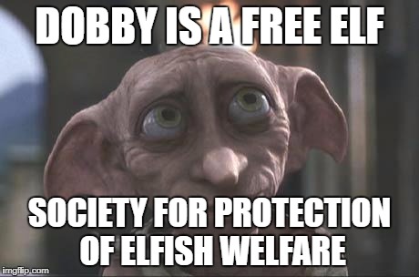 dobby | DOBBY IS A FREE ELF; SOCIETY FOR PROTECTION OF ELFISH WELFARE | image tagged in dobby | made w/ Imgflip meme maker