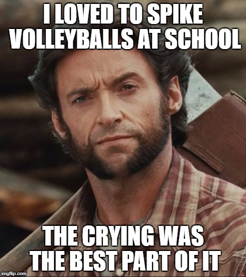 Wolverine plays volleyball | I LOVED TO SPIKE VOLLEYBALLS AT SCHOOL; THE CRYING WAS THE BEST PART OF IT | image tagged in volleyball,meme,cool,dank,wolverine,marvel | made w/ Imgflip meme maker