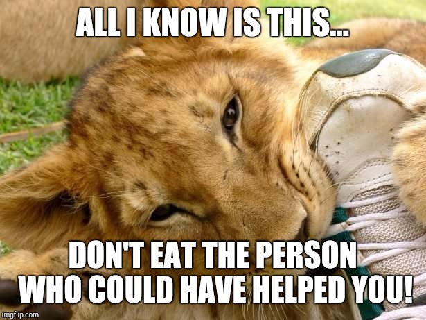 Quite A Feat | ALL I KNOW IS THIS... DON'T EAT THE PERSON WHO COULD HAVE HELPED YOU! | image tagged in quite a feat | made w/ Imgflip meme maker
