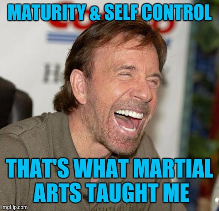 Memes, funny, Chuck Norris | MATURITY & SELF CONTROL THAT'S WHAT MARTIAL ARTS TAUGHT ME | image tagged in memes funny chuck norris | made w/ Imgflip meme maker