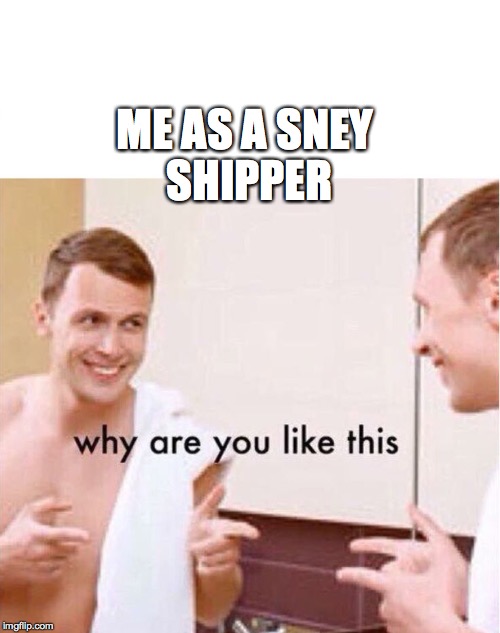 ME AS A SNEY SHIPPER | made w/ Imgflip meme maker