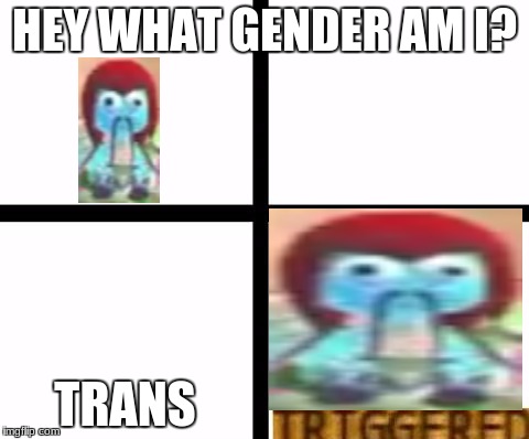 yes this is what i made on littlebigplanet | HEY WHAT GENDER AM I? TRANS | image tagged in triggered template | made w/ Imgflip meme maker
