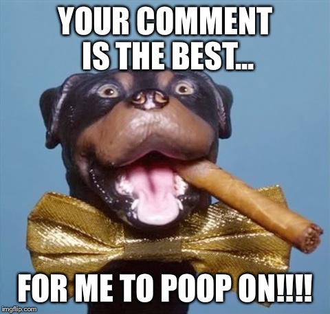 Triumph the Insult Comic Dog | YOUR COMMENT IS THE BEST... FOR ME TO POOP ON!!!! | image tagged in triumph the insult comic dog | made w/ Imgflip meme maker