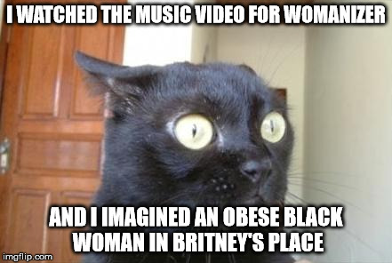 Cannot Be Unseen Cat | I WATCHED THE MUSIC VIDEO FOR WOMANIZER; AND I IMAGINED AN OBESE BLACK WOMAN IN BRITNEY'S PLACE | image tagged in cannot be unseen cat | made w/ Imgflip meme maker
