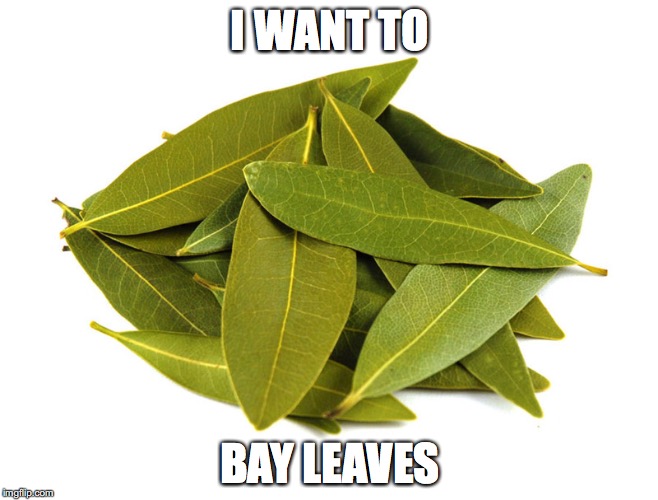 I WANT TO; BAY LEAVES | image tagged in bay leaves | made w/ Imgflip meme maker