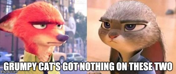 Grumpy Fox and Bunny  | GRUMPY CAT'S GOT NOTHING ON THESE TWO | image tagged in nick and judy grumpy,zootopia,nick wilde,judy hopps,funny,memes | made w/ Imgflip meme maker