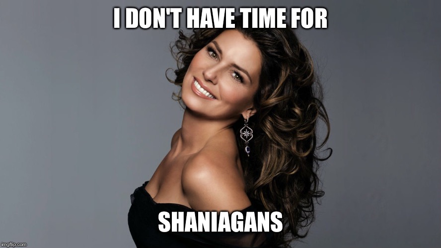 I DON'T HAVE TIME FOR SHANIAGANS | made w/ Imgflip meme maker