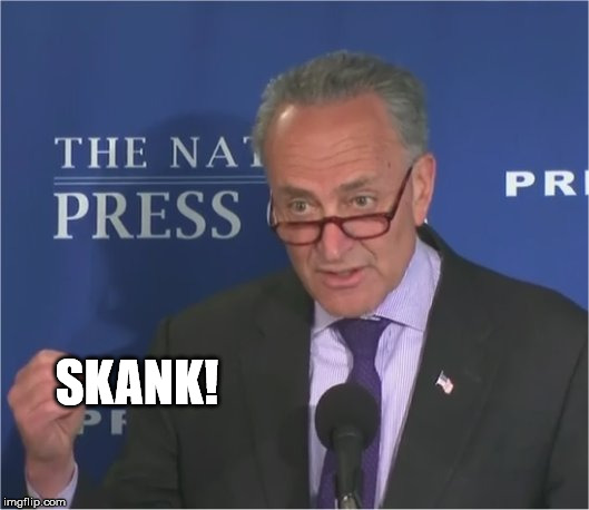 mean spirited | SKANK! | image tagged in mean spirited | made w/ Imgflip meme maker