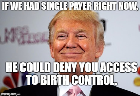 Donald trump approves | IF WE HAD SINGLE PAYER RIGHT NOW, HE COULD DENY YOU ACCESS TO BIRTH CONTROL. | image tagged in donald trump approves | made w/ Imgflip meme maker