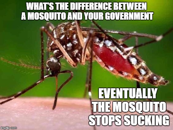 I've been staying away from political but, I thought this was funny | WHAT'S THE DIFFERENCE BETWEEN A MOSQUITO AND YOUR GOVERNMENT; EVENTUALLY THE MOSQUITO STOPS SUCKING | image tagged in evil government,true story,wtf | made w/ Imgflip meme maker