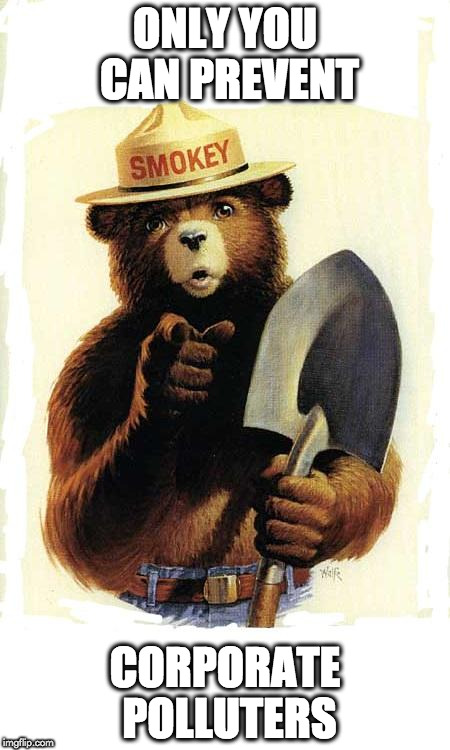 Smokey The Bear | ONLY YOU CAN PREVENT; CORPORATE POLLUTERS | image tagged in smokey the bear | made w/ Imgflip meme maker