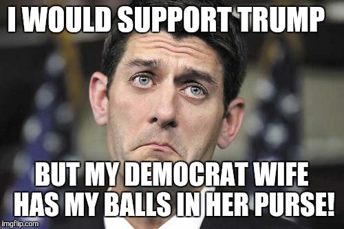 Paul Ryan Face | I WOULD SUPPORT TRUMP; BUT MY DEMOCRAT WIFE HAS MY BALLS IN HER PURSE! | image tagged in paul ryan face | made w/ Imgflip meme maker