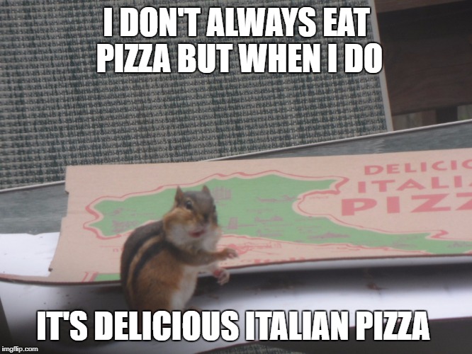 I DON'T ALWAYS EAT PIZZA BUT WHEN I DO; IT'S DELICIOUS ITALIAN PIZZA | image tagged in pizza,italian,squirrel,most interesting man in the world | made w/ Imgflip meme maker