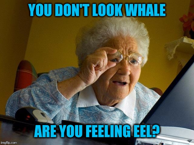 Grandma Finds The Internet Meme | YOU DON'T LOOK WHALE ARE YOU FEELING EEL? | image tagged in memes,grandma finds the internet | made w/ Imgflip meme maker