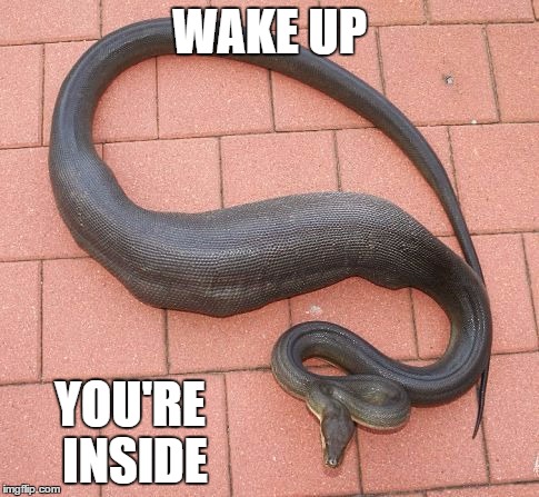 WAKE UP YOU'RE INSIDE | made w/ Imgflip meme maker