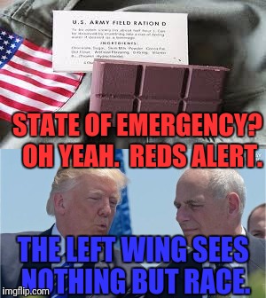 STATE OF EMERGENCY?  OH YEAH.  REDS ALERT. THE LEFT WING SEES NOTHING BUT RACE. | made w/ Imgflip meme maker