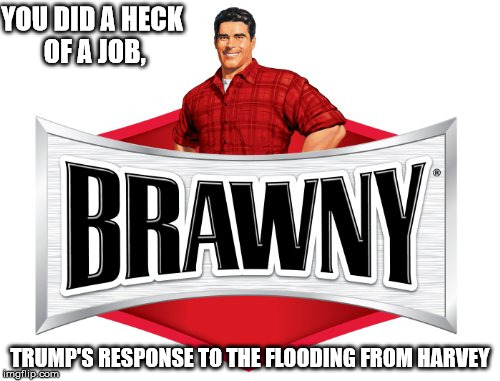 You did a heck of a job Brawny | YOU DID A HECK OF A JOB, TRUMP'S RESPONSE TO THE FLOODING FROM HARVEY | image tagged in trump,brawny | made w/ Imgflip meme maker