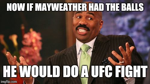 Steve Harvey Meme | NOW IF MAYWEATHER HAD THE BALLS HE WOULD DO A UFC FIGHT | image tagged in memes,steve harvey | made w/ Imgflip meme maker