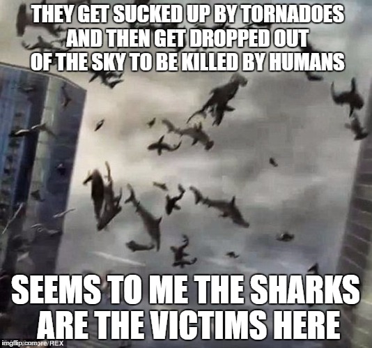 What's Next....Jewnado? | THEY GET SUCKED UP BY TORNADOES AND THEN GET DROPPED OUT OF THE SKY TO BE KILLED BY HUMANS; SEEMS TO ME THE SHARKS ARE THE VICTIMS HERE | image tagged in sharknado,shark week,memes | made w/ Imgflip meme maker