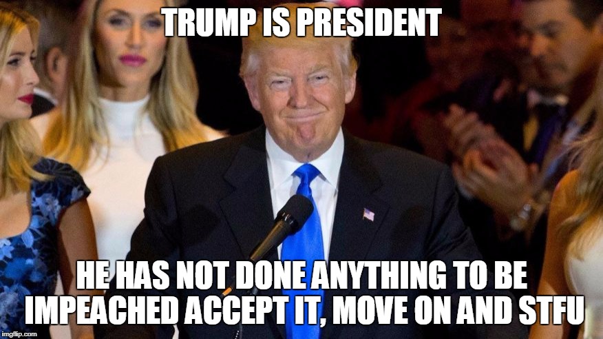 Trump Wins | TRUMP IS PRESIDENT; HE HAS NOT DONE ANYTHING TO BE IMPEACHED ACCEPT IT, MOVE ON AND STFU | image tagged in trump wins | made w/ Imgflip meme maker