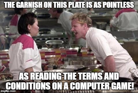 Angry Chef Gordon Ramsay Meme | THE GARNISH ON THIS PLATE IS AS POINTLESS; AS READING THE TERMS AND CONDITIONS ON A COMPUTER GAME! | image tagged in memes,angry chef gordon ramsay | made w/ Imgflip meme maker