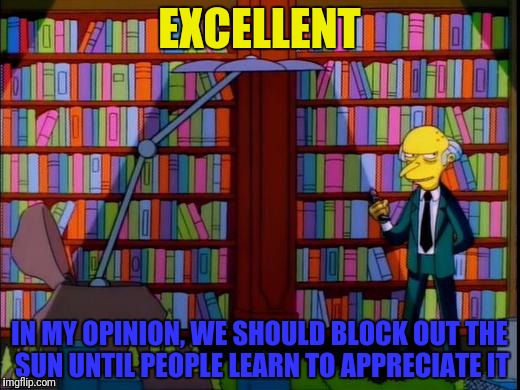 EXCELLENT IN MY OPINION, WE SHOULD BLOCK OUT THE SUN UNTIL PEOPLE LEARN TO APPRECIATE IT | made w/ Imgflip meme maker