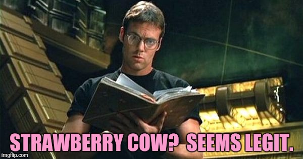 STRAWBERRY COW?  SEEMS LEGIT. | made w/ Imgflip meme maker