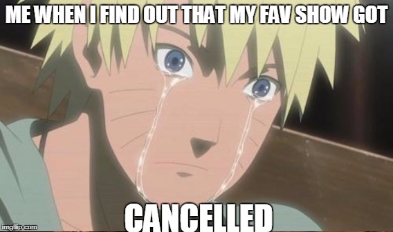 ME WHEN I FIND OUT THAT MY FAV SHOW GOT CANCELLED | made w/ Imgflip meme maker