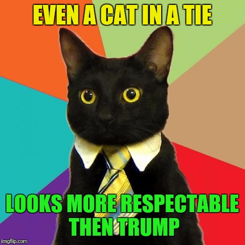Business Cat Meme | EVEN A CAT IN A TIE; LOOKS MORE RESPECTABLE THEN TRUMP | image tagged in memes,business cat | made w/ Imgflip meme maker