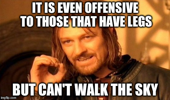 One Does Not Simply Meme | IT IS EVEN OFFENSIVE TO THOSE THAT HAVE LEGS BUT CAN'T WALK THE SKY | image tagged in memes,one does not simply | made w/ Imgflip meme maker