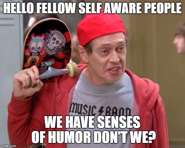 Steve Buscemi Fellow Kids | HELLO FELLOW SELF AWARE PEOPLE; WE HAVE SENSES OF HUMOR DON'T WE? | image tagged in steve buscemi fellow kids | made w/ Imgflip meme maker