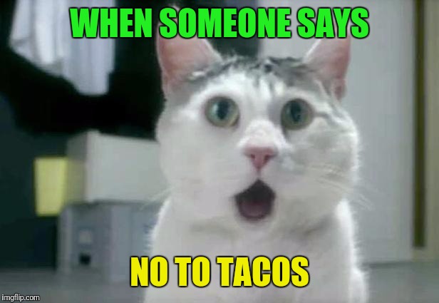 OMG Cat | WHEN SOMEONE SAYS; NO TO TACOS | image tagged in memes,omg cat | made w/ Imgflip meme maker