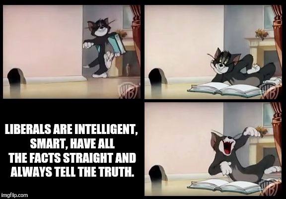 Are they? Are they REALLY? | LIBERALS ARE INTELLIGENT, SMART, HAVE ALL THE FACTS STRAIGHT AND ALWAYS TELL THE TRUTH. | image tagged in tom and jerry book,liberals,memes,so true memes | made w/ Imgflip meme maker