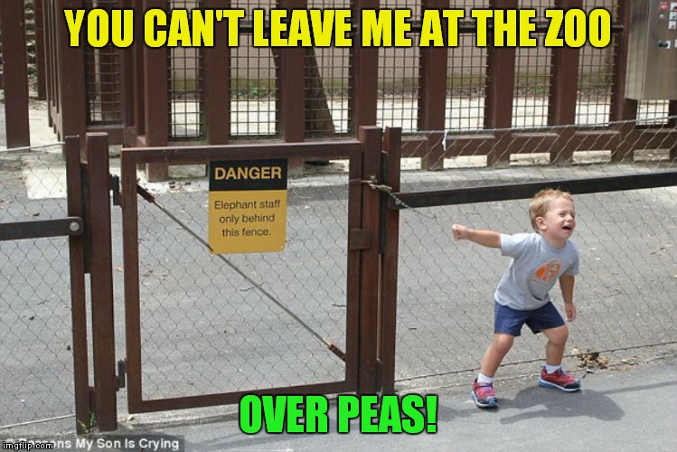 YOU CAN'T LEAVE ME AT THE ZOO OVER PEAS! | made w/ Imgflip meme maker