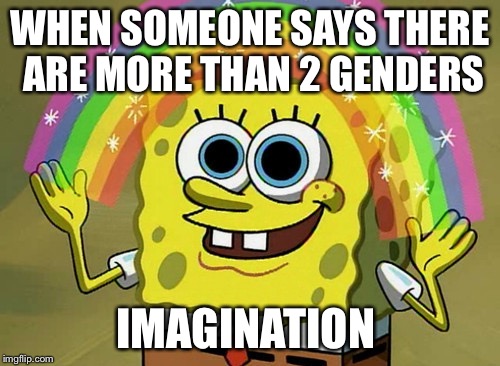 Imagination Spongebob | WHEN SOMEONE SAYS THERE ARE MORE THAN 2 GENDERS; IMAGINATION | image tagged in memes,imagination spongebob | made w/ Imgflip meme maker